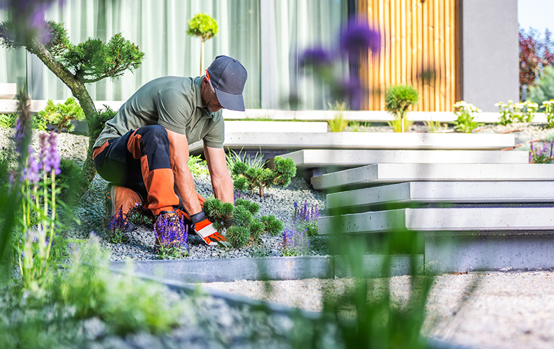 Landscaping Solutions Image